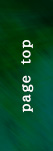 Page top